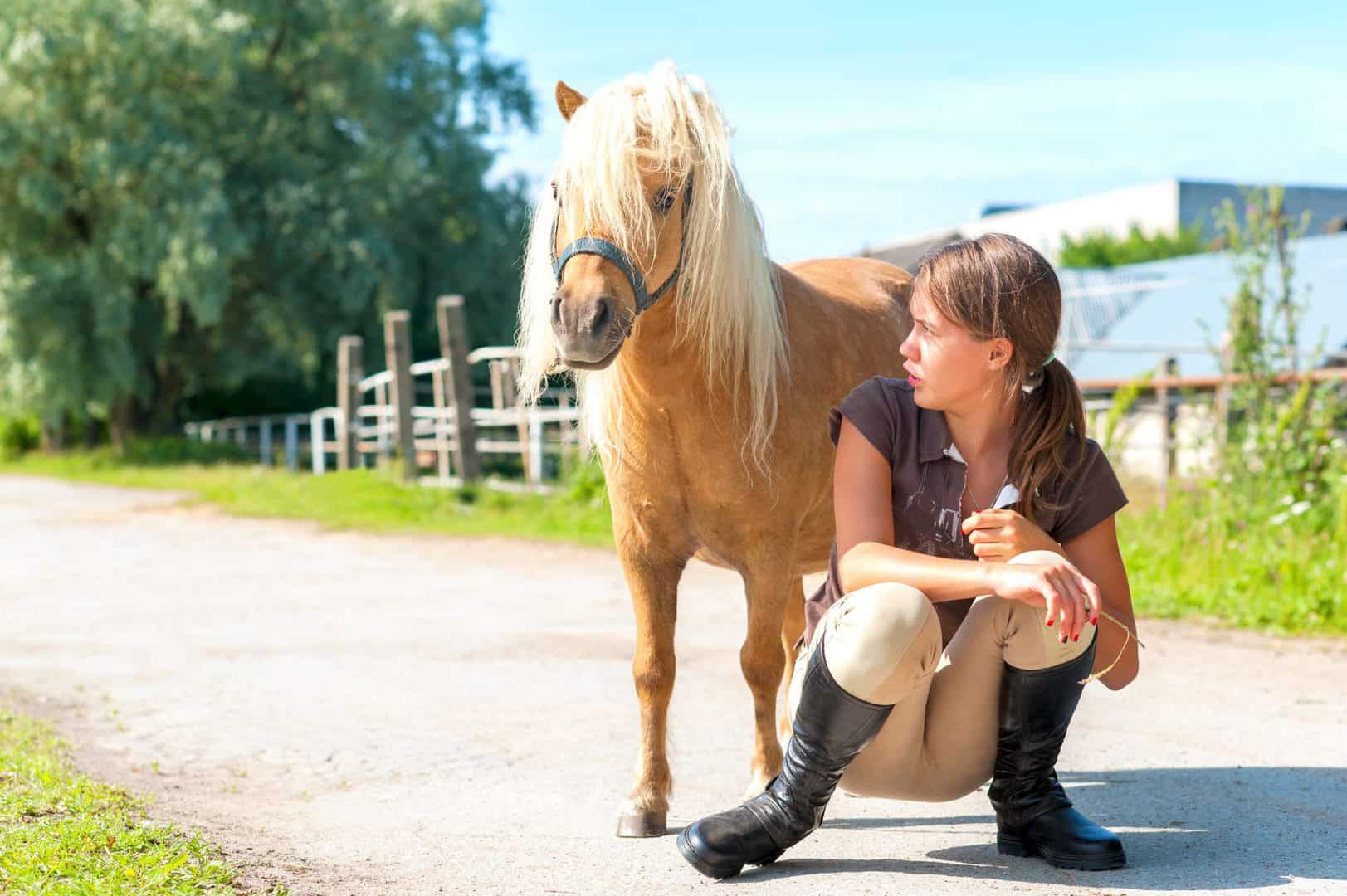 praten met een pony