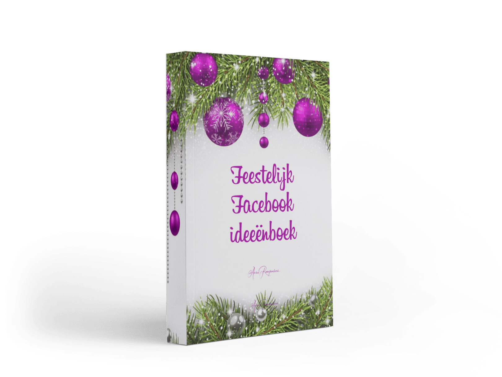 Feestelijk Facebook ideeën boek Feestelijk Facebook ideeën boek
