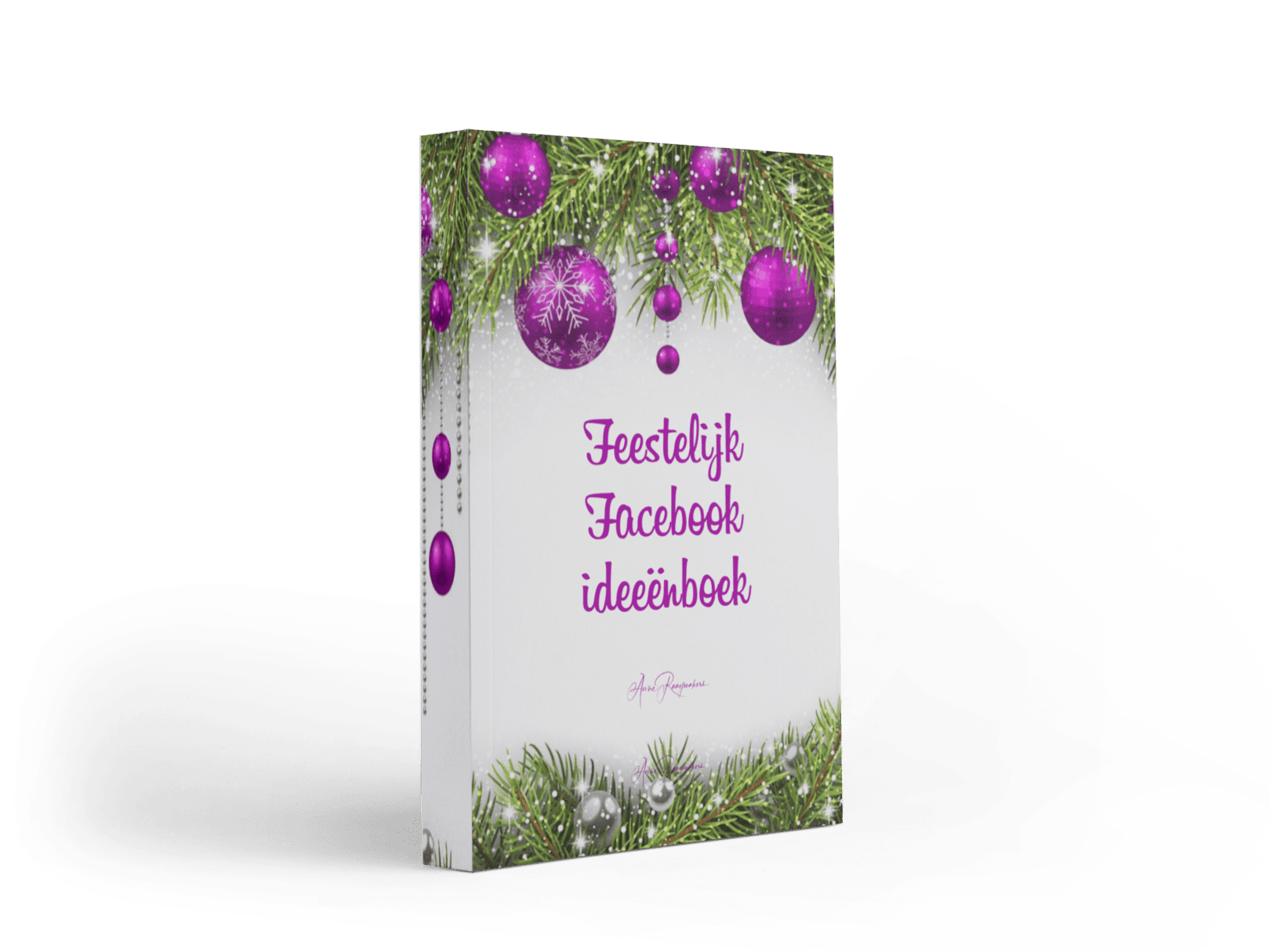 Feestelijk Facebook ideeën boek